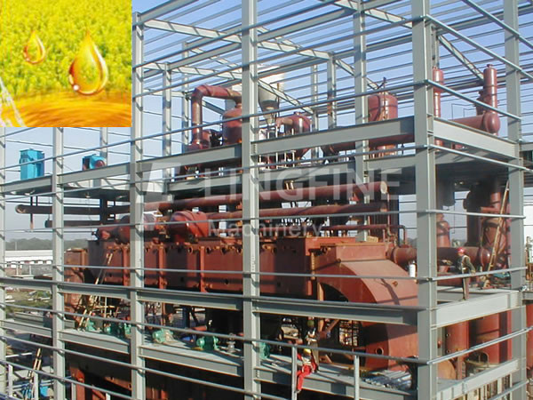 Rapeseed oil extraction machine