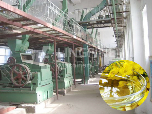 Canola Oil Pretreatment Pre-pressing Machine