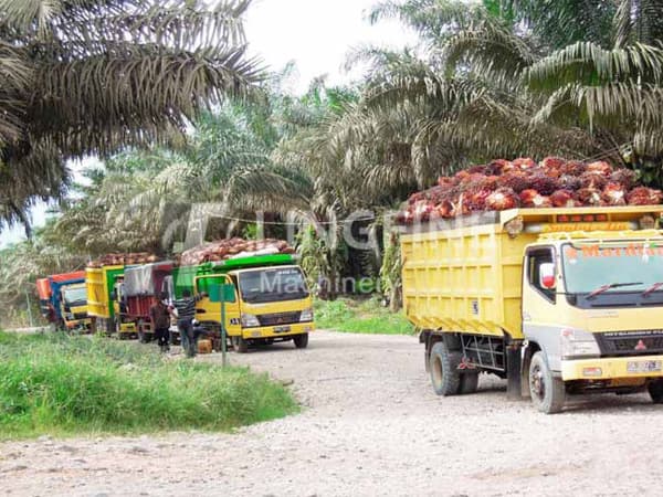 1-20TPH palm oil mill